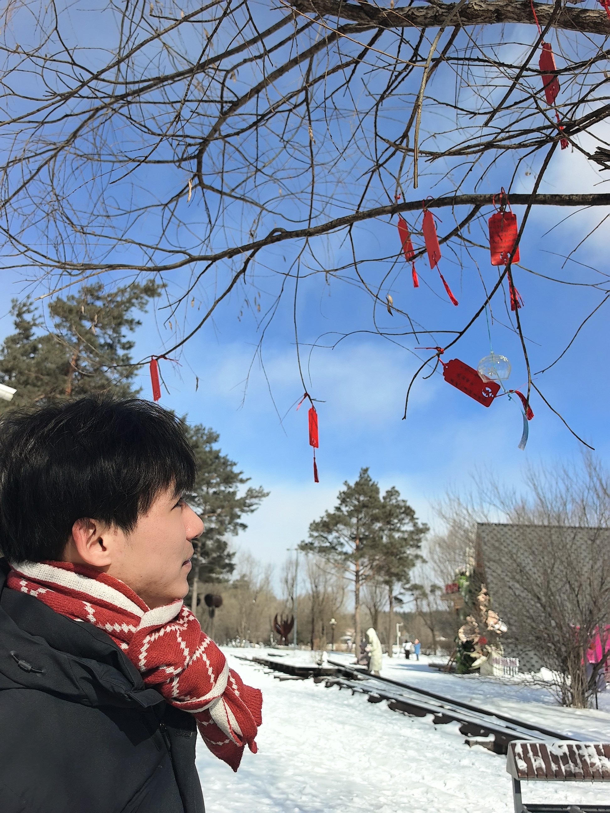 贺旭宁